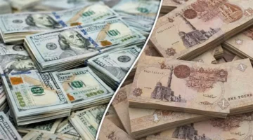 استقرار سعر الدولار بالبنوك وتراجع قيمته 7 قروش في السوق الموازية السبت